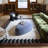 Jayvion Cream Modern Border Area Rug-1660790589