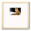 Ansal Fox-88450631