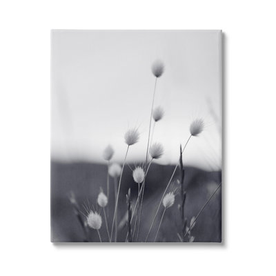 Stupell Industries Country Botanicals Photography Canvas Wall Art Design by Sisi and Seb