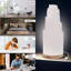 Lampe selenite en cristal SALT 84 de 25 cm de hauteur avec base en bois et USB