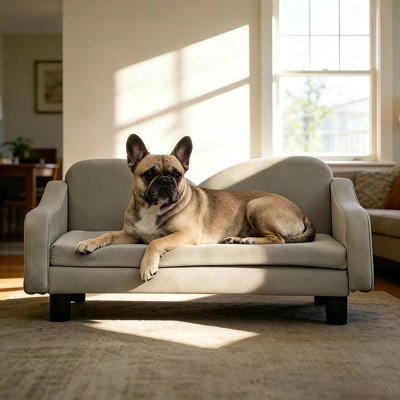 Canapé-lit rembourré pour chien pour petit canapé-lit surélevé moderne, canapé imperméable et facile à nettoyer pour les chiens de petite à moyenne taille, assemblage sans outil, chiens moyens résistants aux égratignures, canapé pour animaux de compagnie durable facile à nettoyer avec rembourrage confortable et sans outil