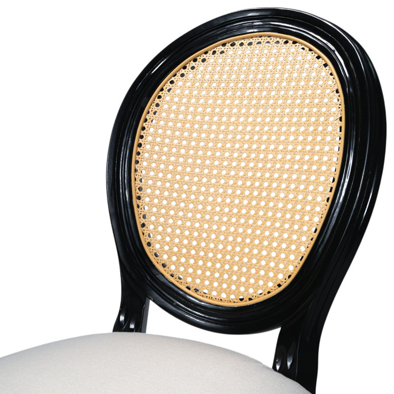 Amando 18.9'' H Upholstered Side Chair (PE Rattan), Gloss Black, Dark Gray
