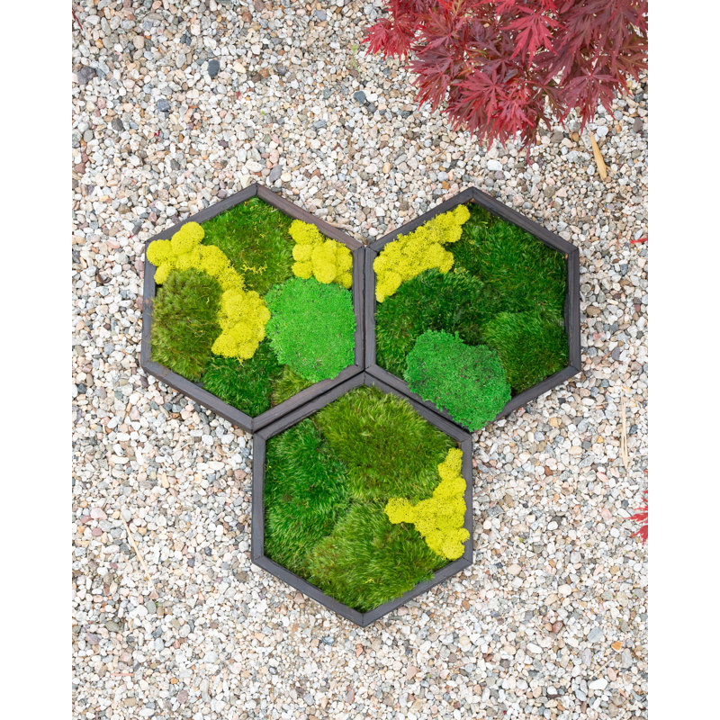 Handmade Landscape & Nature Wall Decor on Solid Wood