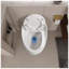 Toilette simple en forme d'œuf, 1,28 GPF, céramique blanche brillante avec siège à dégagement rapide