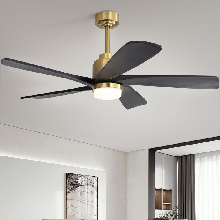 Damecia 52'' Ceiling Fan with LED Lights