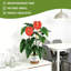 Arbre artificiel plante tropicale, pot de fleur blanc, arbre artificiel, bureau à la maison, salon, maison de campagne, arbre décoratif moderne, pas d'arrosage, arbre artificiel