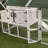 Charitee Chicken Chateau with Chicken Run