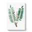 Indian Frankincense Flowers Illustration - Wrapped Canvas-55363213