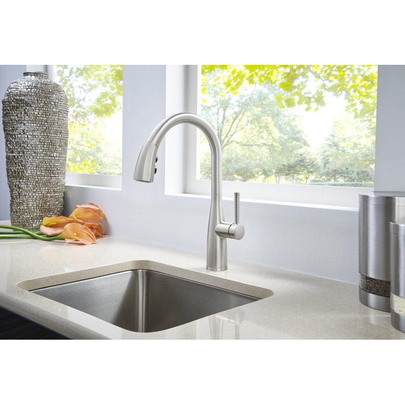 Robinet de cuisine à poignée simple avec distributeur de savon Raya, Acier inoxydable