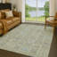 Tapis traditionnel lavable à la machine intérieur / extérieur ACN2440-1086579296-1086579297