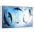 Floating Frame White