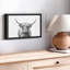 Impression sur toile Highland Bull I-100690036