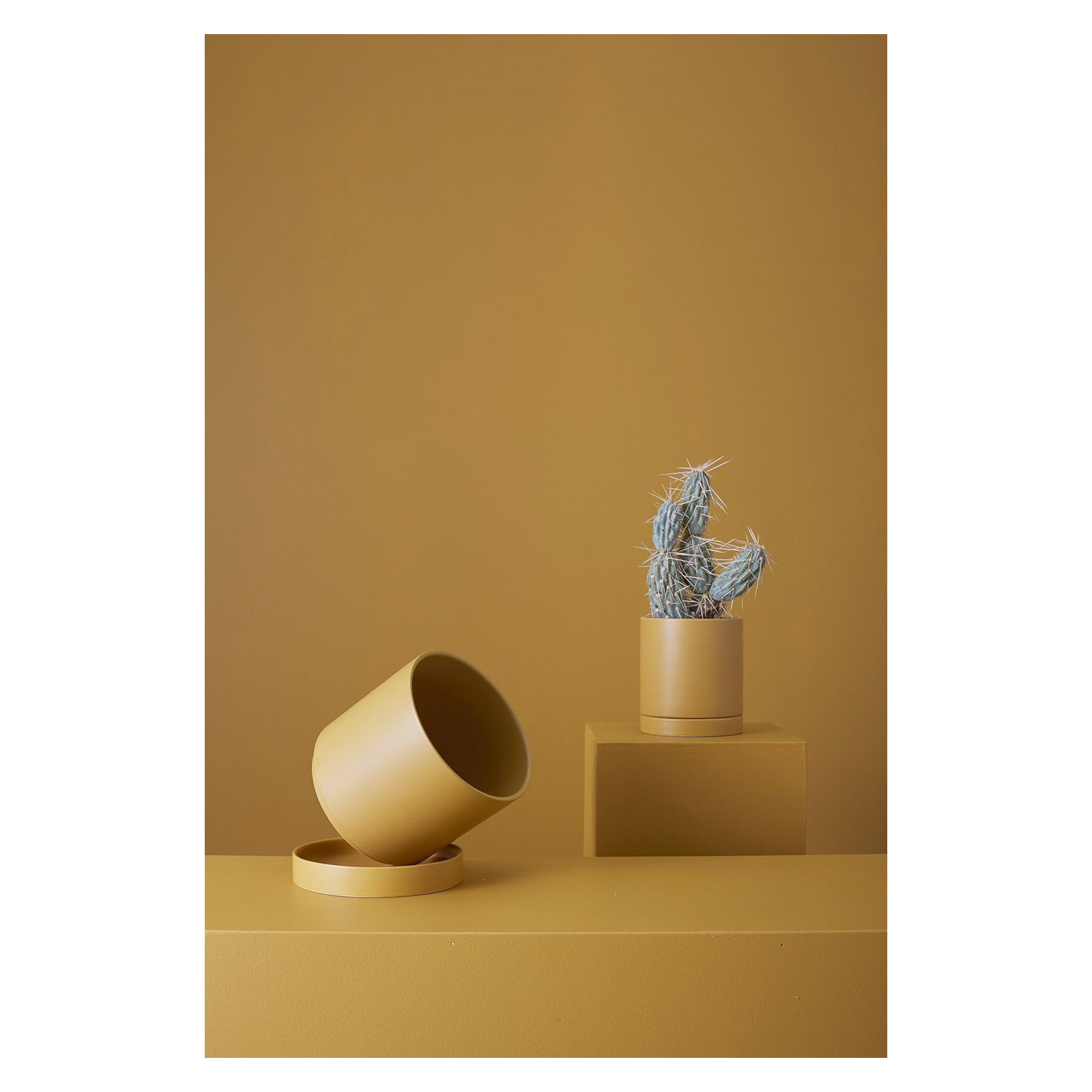 Carlotta Ceramic Pot Planter, 7" H x 7" W x 7" D, Ochre