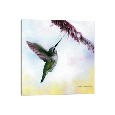 Anna's Hummingbird by Sarah Stribbling - Gallery-Wrapped Canvas Giclée on Canvas