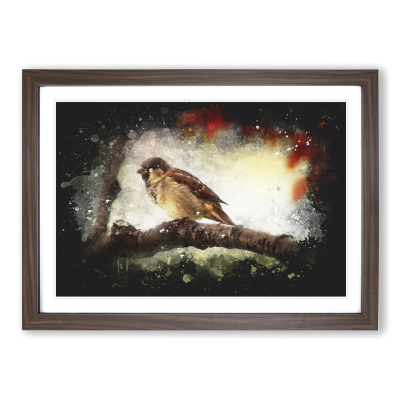 Sparrow Bird Vol.1 - Single Picture Frame Print on Wood, Walnut Framed, 36cm H x 48cm W x 2cm D