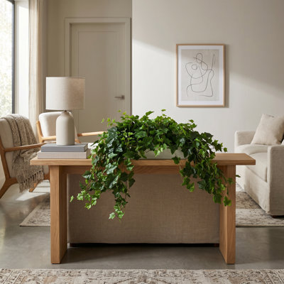Plante de 14 po