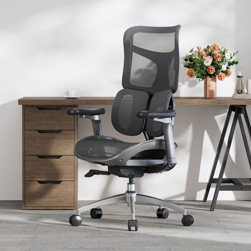 Ergonomic Office Chair, with Dual Dynamic Lumbar Support, 4D Armrests, Black/Silver, Black