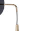 Tescott Iron LED Armed Sconce