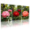 Ensemble de 3 tableaux sur toile tendue représentant des fleurs tropicales et un toucan, pour la décoration du salon, de la chambre ou du bureau.
