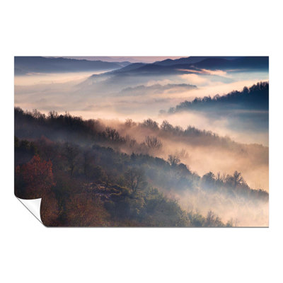 Sunrise on a Dreamy Foggy Morning in a Forest 1 Piece Wall Art