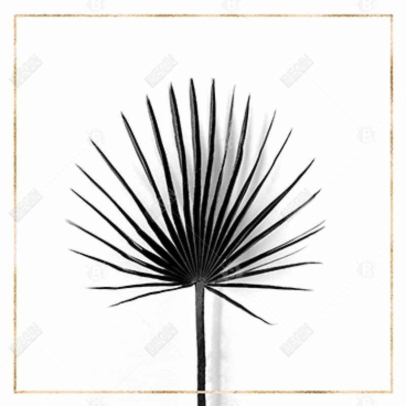 Cabbage Palm Leaf Canvas - Exotic Botanical Home Decor Art