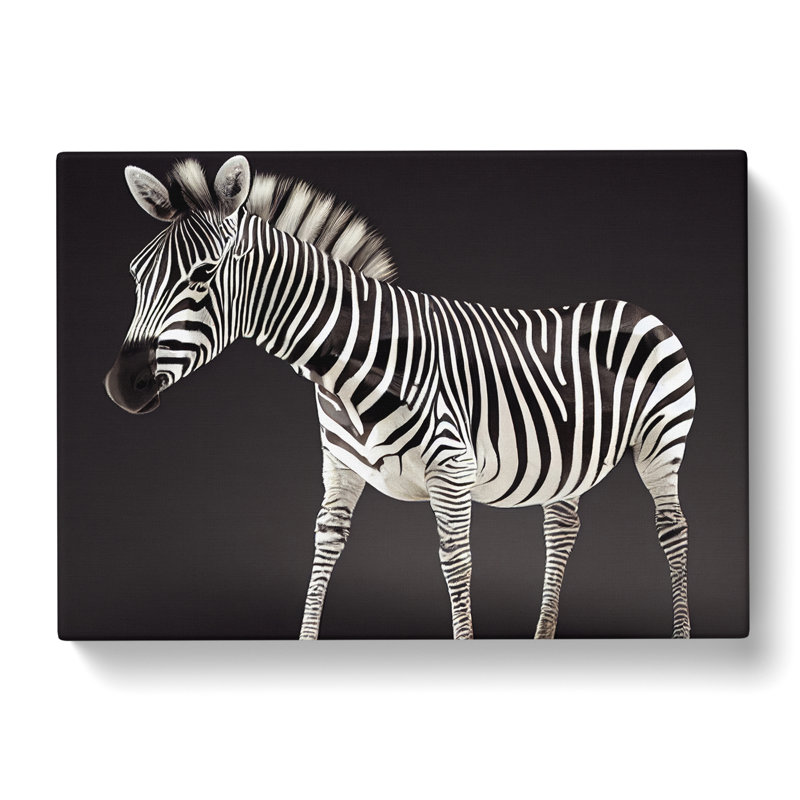 Zebra View - Wrapped Canvas, 40cm H x 60cm W
