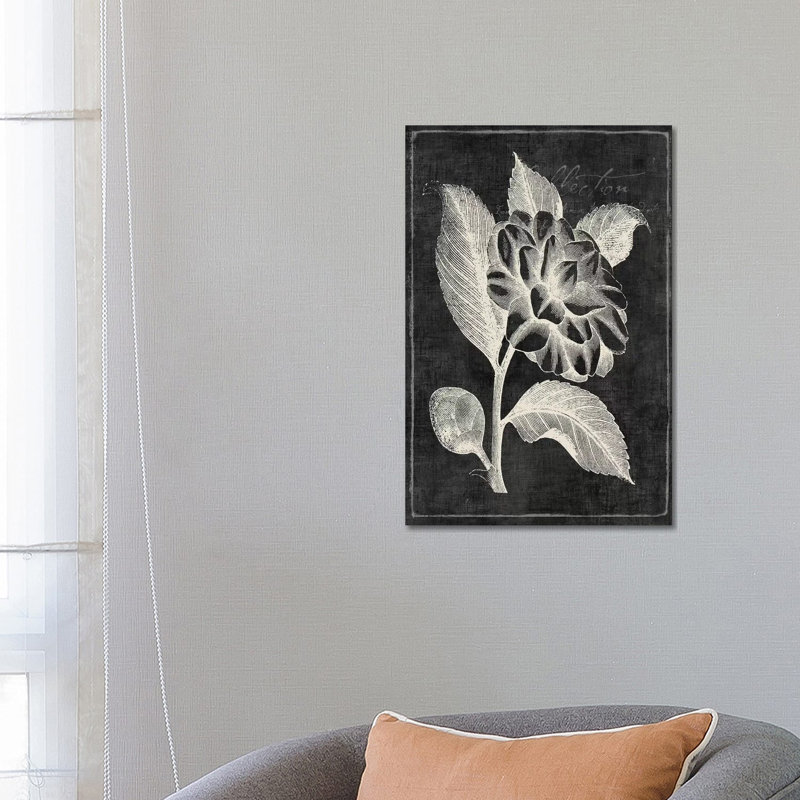 Black Botanical II by PI Galerie - Wrapped Canvas Panoramic Painting, 66.04 cm H x 45.72 cm W x 1.91 cm D