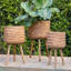 Ensemble de jardinière neutre en osier Boho, décoration de jardin d'intérieur polyvalente-145217744-145217746