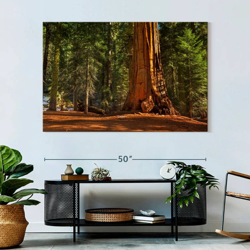 Alvord général Grant Grove arbres, H 34 po x l 51 po