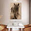 Cheval Brampt Freedom-106970515