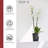 Pot Planter-75201449