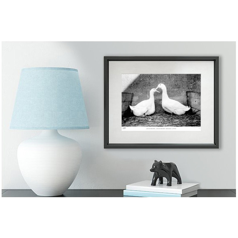 Aylesbury, Aylesbury Ducks C1955 by Francis Frith - Single Picture Frame Print, 45cm H x 60cm W x 2.3cm D