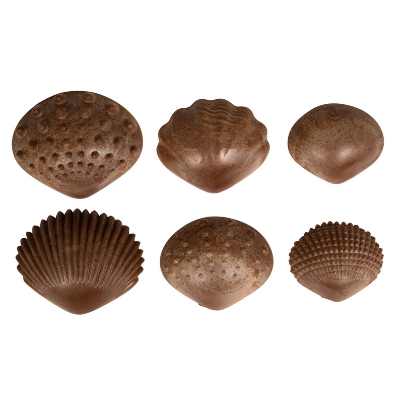 Coquilles tactiles écologiques