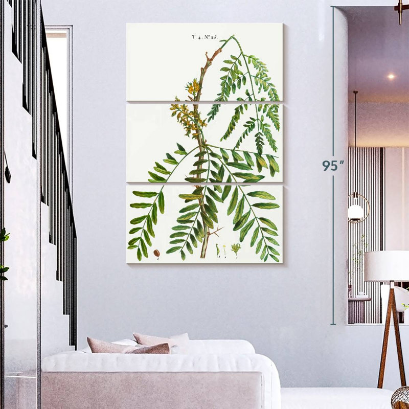 Harnek Honey Locust Gleditsia Triacanthos, 74" H x 48" W