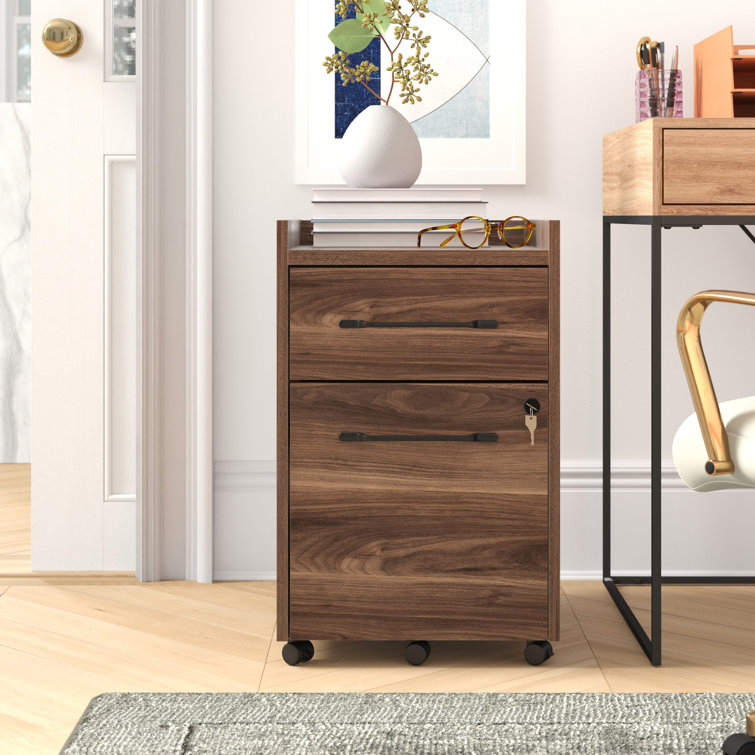 Payeur 2-Drawer Mobile Vertical Filing Cabinet