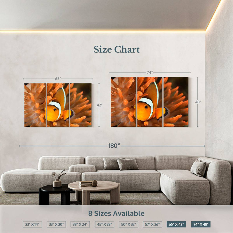 Orange Clownfish, 42" H x 65" W