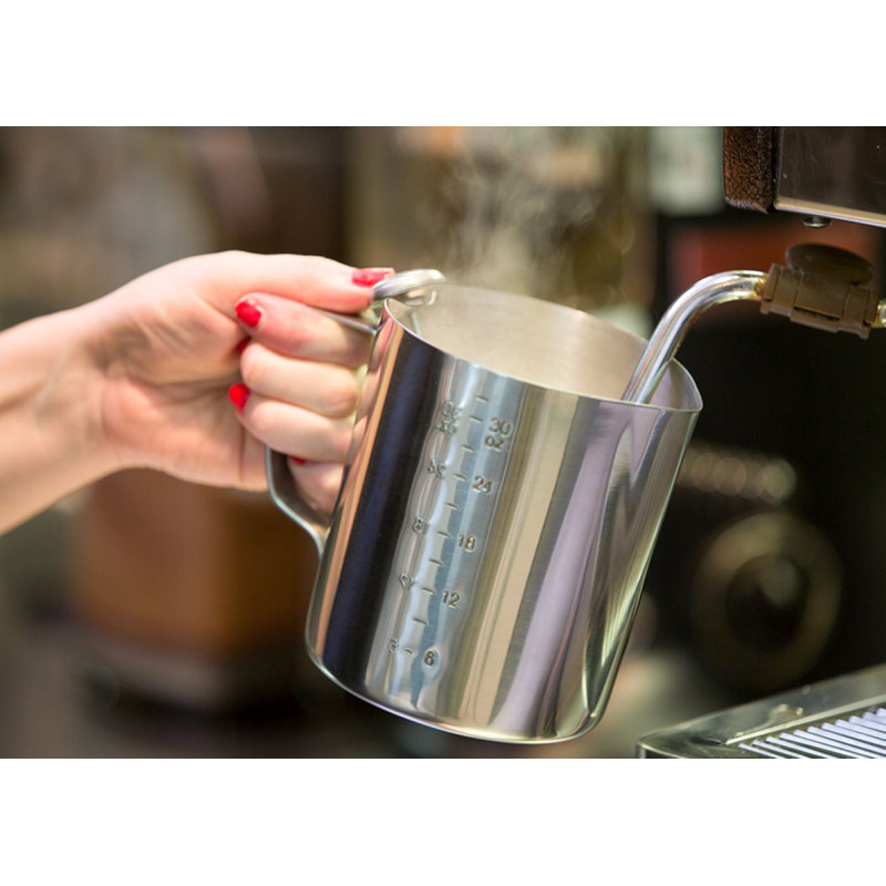 Pichet pour faire mousser le lait, H 6 po x l 4,81 po x P 4 po