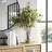 36'' Faux Ficus Plant in Glass Decorative Vase