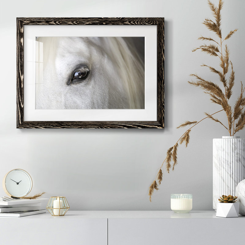 Balearic Island Horse, impression sur papier, Noir, H 18 po x l 26 po x P 1,5 po
