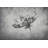Daisy on a Grayscale Grunge Texture with a Vignette Effect Around It Vinyl Wallpaper Home Decor-93997054