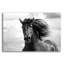 «Breath Of Life» par Tony Stromberg-1673837525