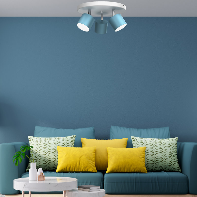 Bryany Spotlight, Blue/White