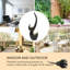 Outdoor Sculptural Fountain with Lights