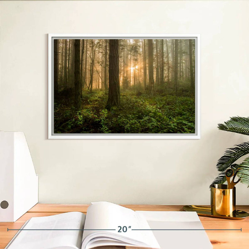 Lever de soleil sur la forêt de l'île Lummi, Cadre flottant blanc, 13 po x 9 po