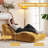 Chaise Lounge Chair, Modern Upholstered Recliner Sofa, With Curved Back-2060784809
