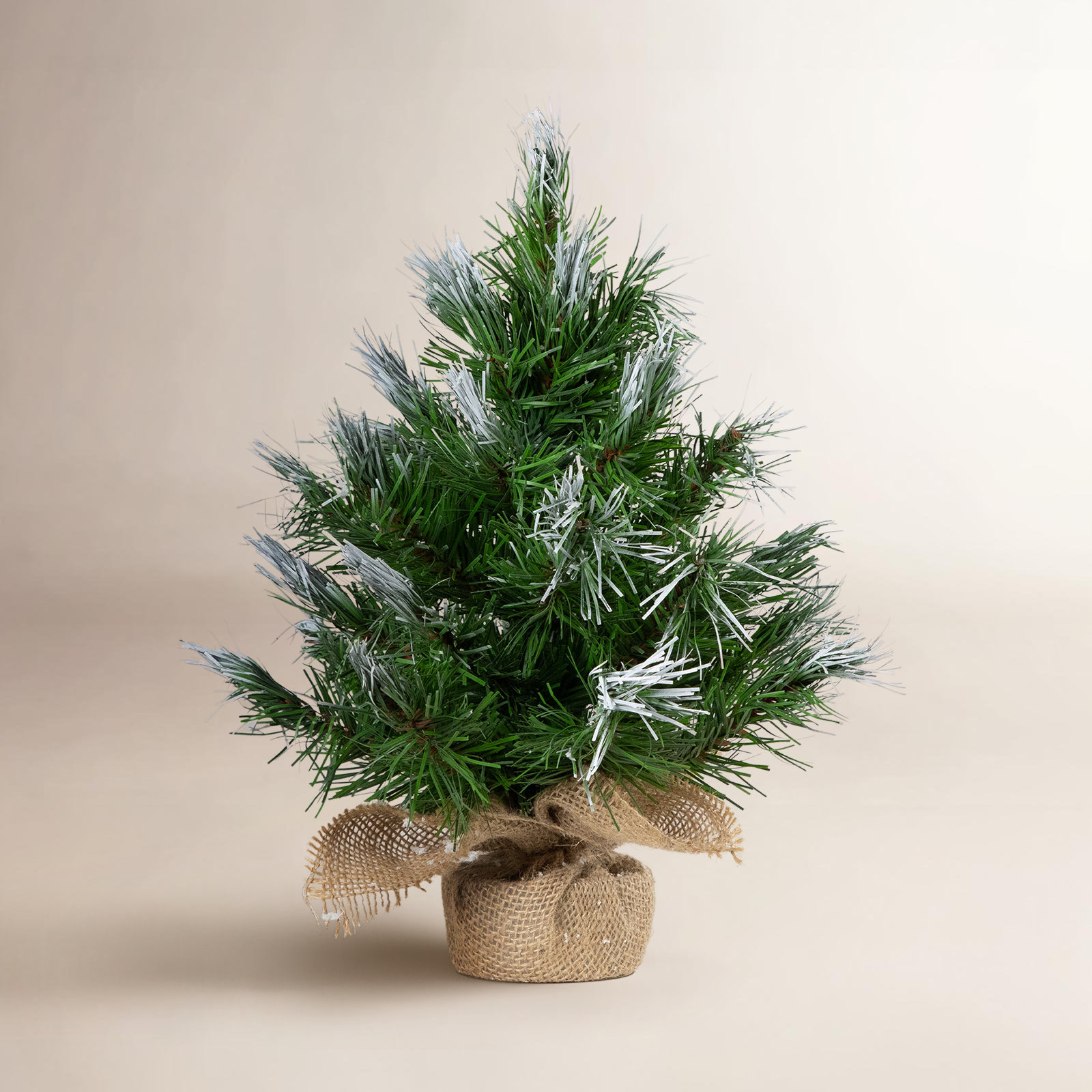 Whitecap Pine Tabletop Tree