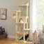 Grand arbre à chat pour grands chats-2091720829