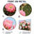 Pink Prickly Pear Cactus In Vegas III - Floral Metal Wall Art, Floral Cactus Metal Print-1902175045
