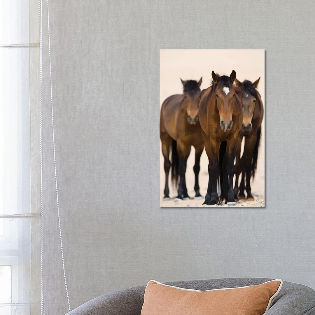 Namib Desert Horse Trio, Namib-Naukluft National Park, Namibia by Cyril Ruoso - Wrapped Canvas Print