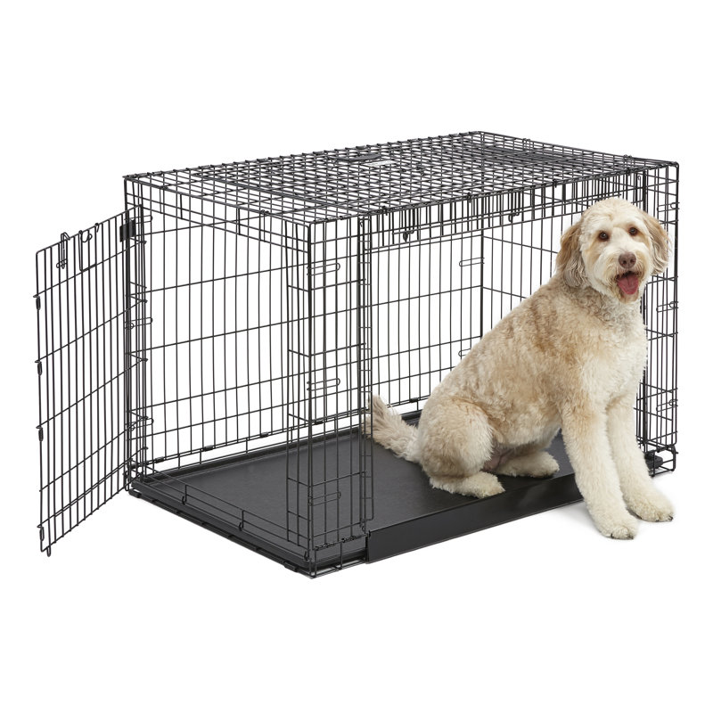 Caisse pour animaux avec double porte Trainer, Très grand (H 33 po x l 31 po x L 49 po)